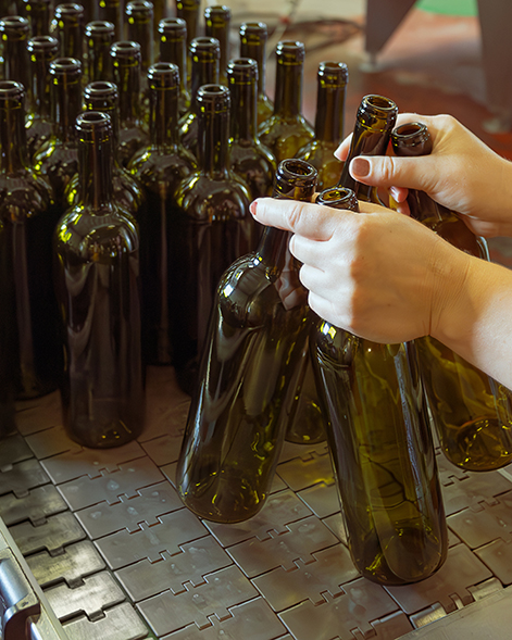 In a wine production facility, a factory worker carefully positions empty green glass bottles onto a conveyor belt, preparing them for the filling stage of the winemaking process